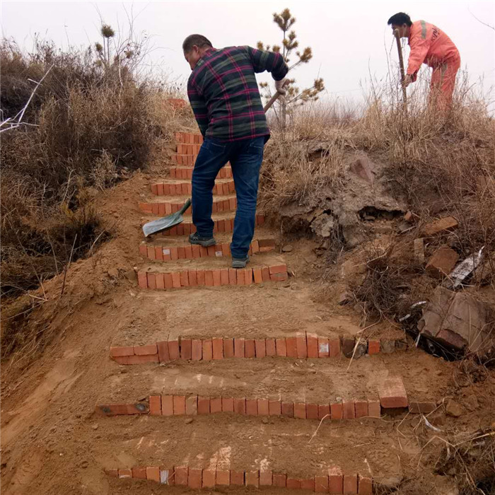 74669878521451395_副本.jpg 74669878521451395_副本.jpg